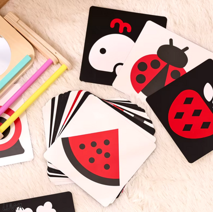 Cartes de Stimulation avec Présentoir – Éveil et Apprentissage